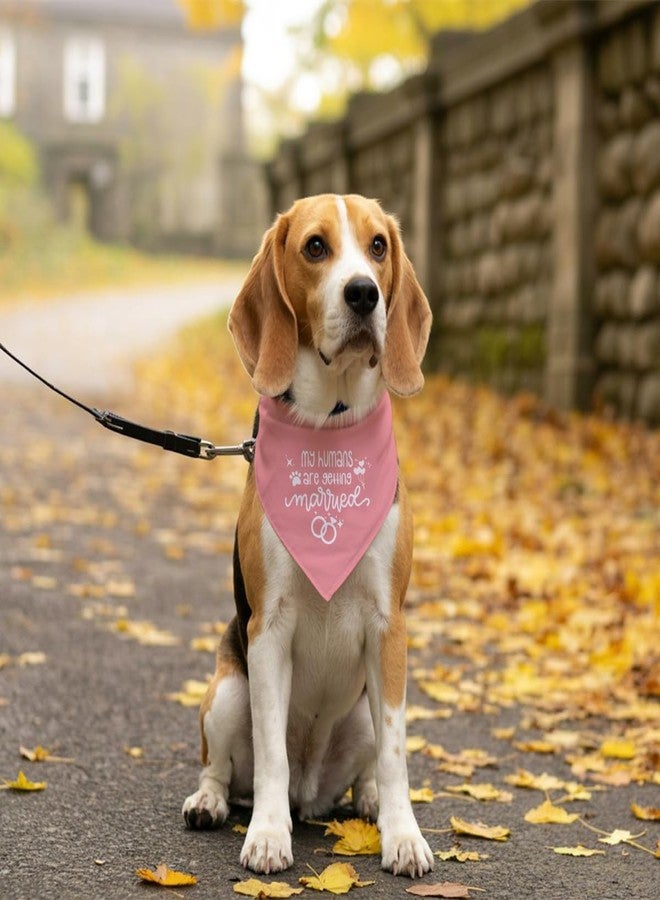 ZPPRJF My Humans are Getting Married Pink Dog Wedding Scarf for Dog Lover - Fits Small to Large Dogs (E46) - Image 5